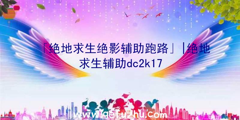 「绝地求生绝影辅助跑路」|绝地求生辅助dc2k17